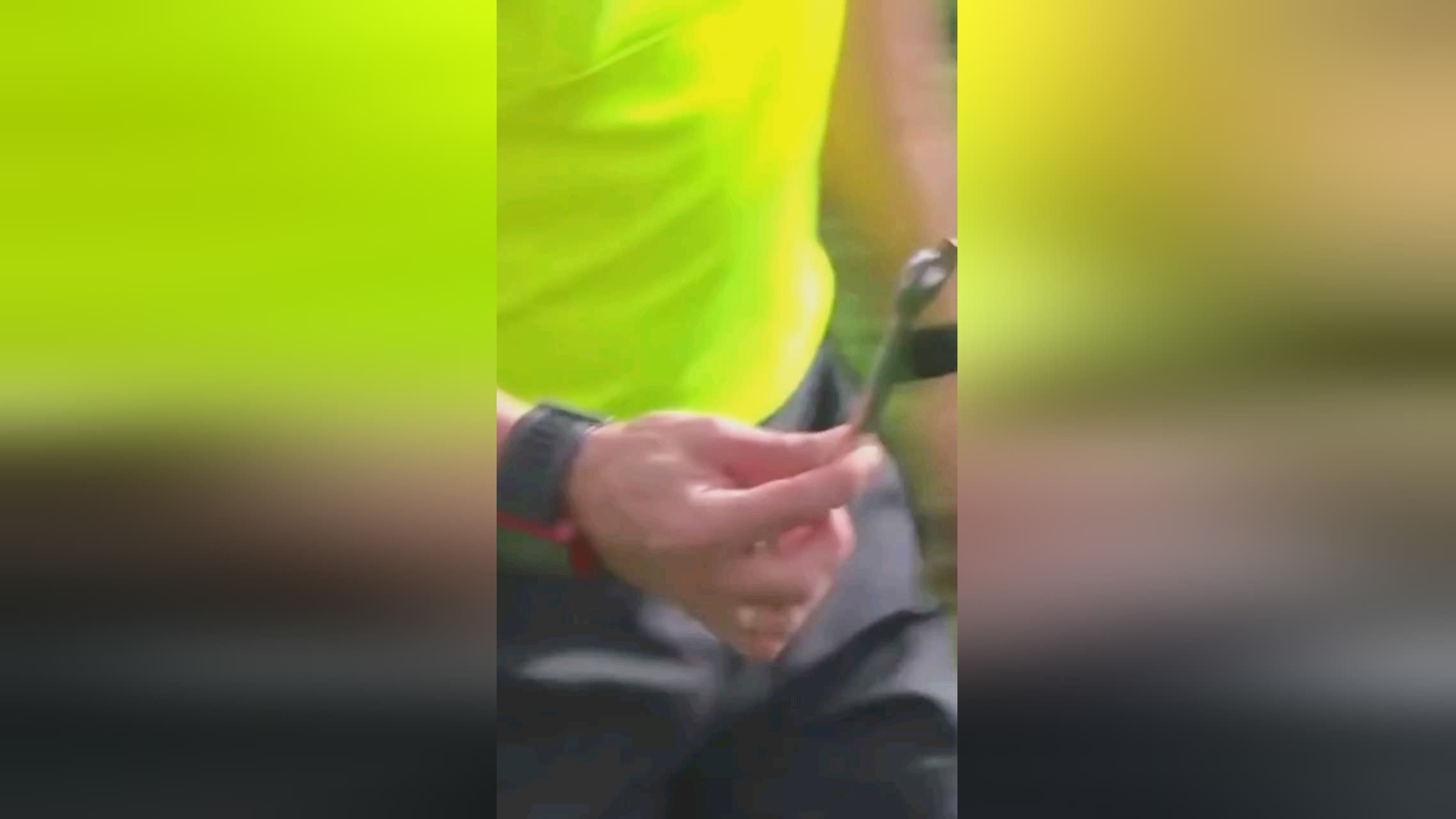 未来发
